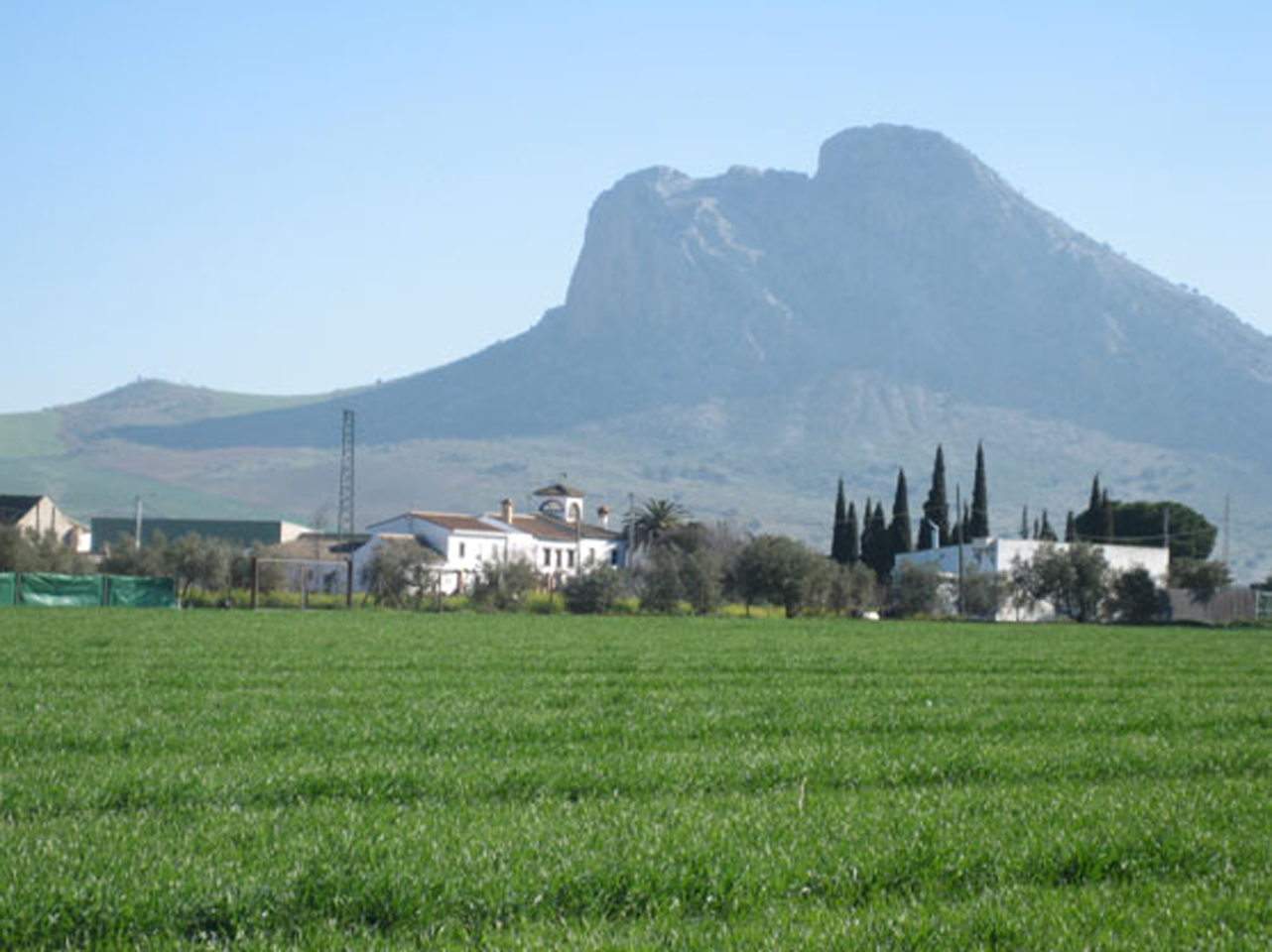 Ave Bobadilla - Ardales